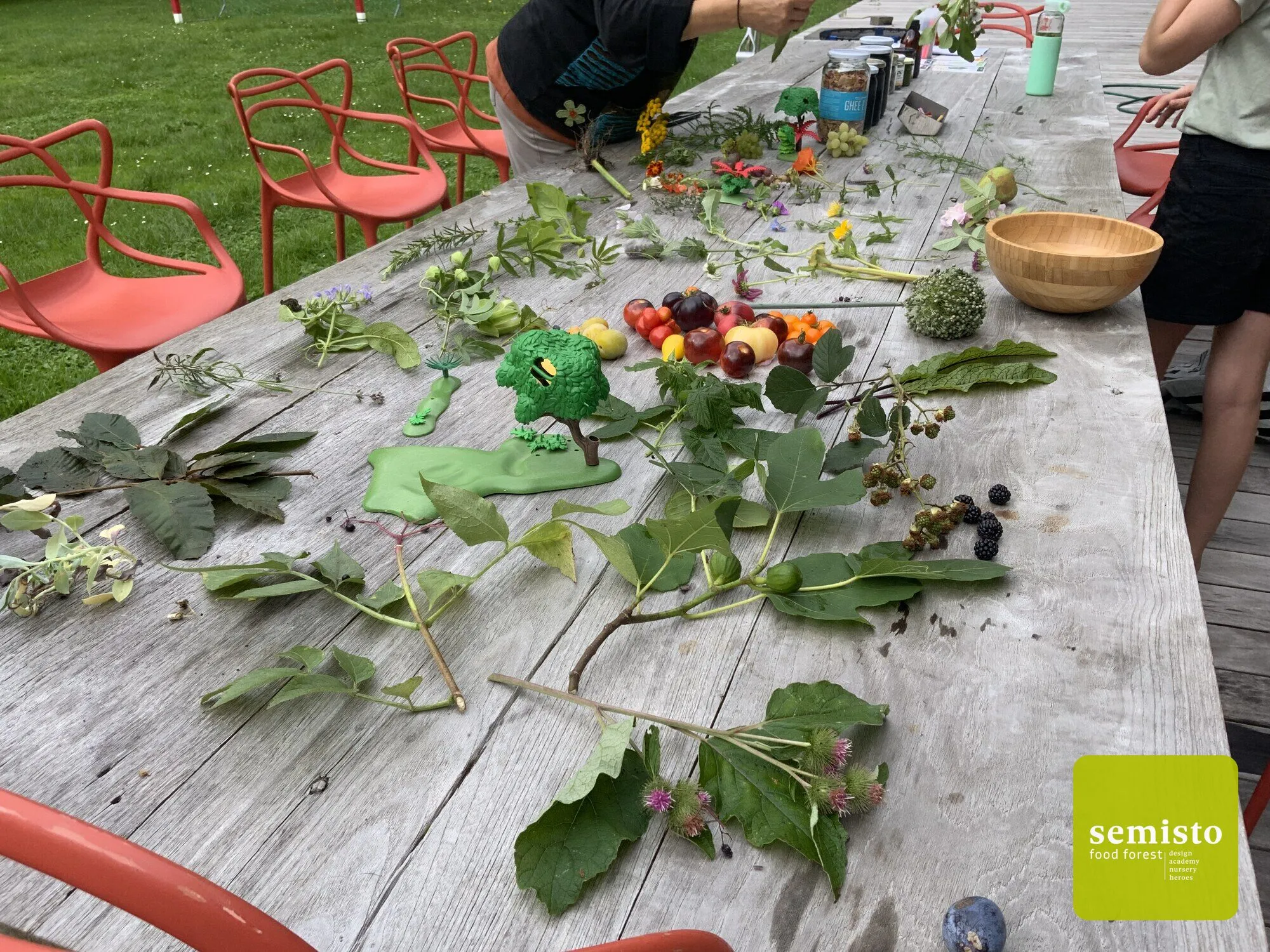 Jardin-forêt familial à Anhée — vue 3