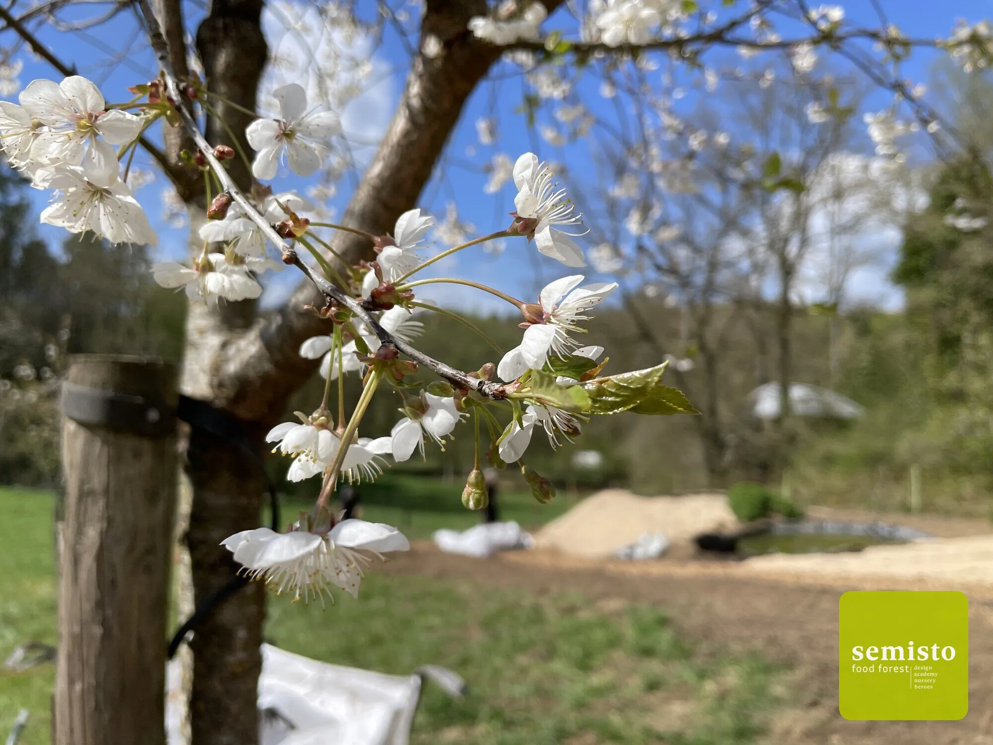 Jardin-forêt familial à Anhée — vue 37