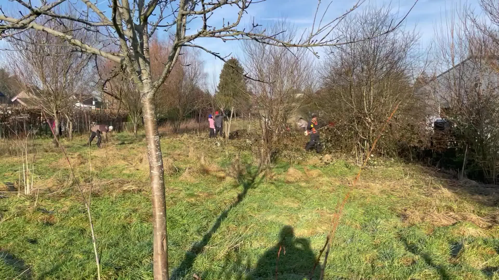 Entretien hivernal d’une jeune forêt-jardin, plusieurs personnes au travail entre les arbres