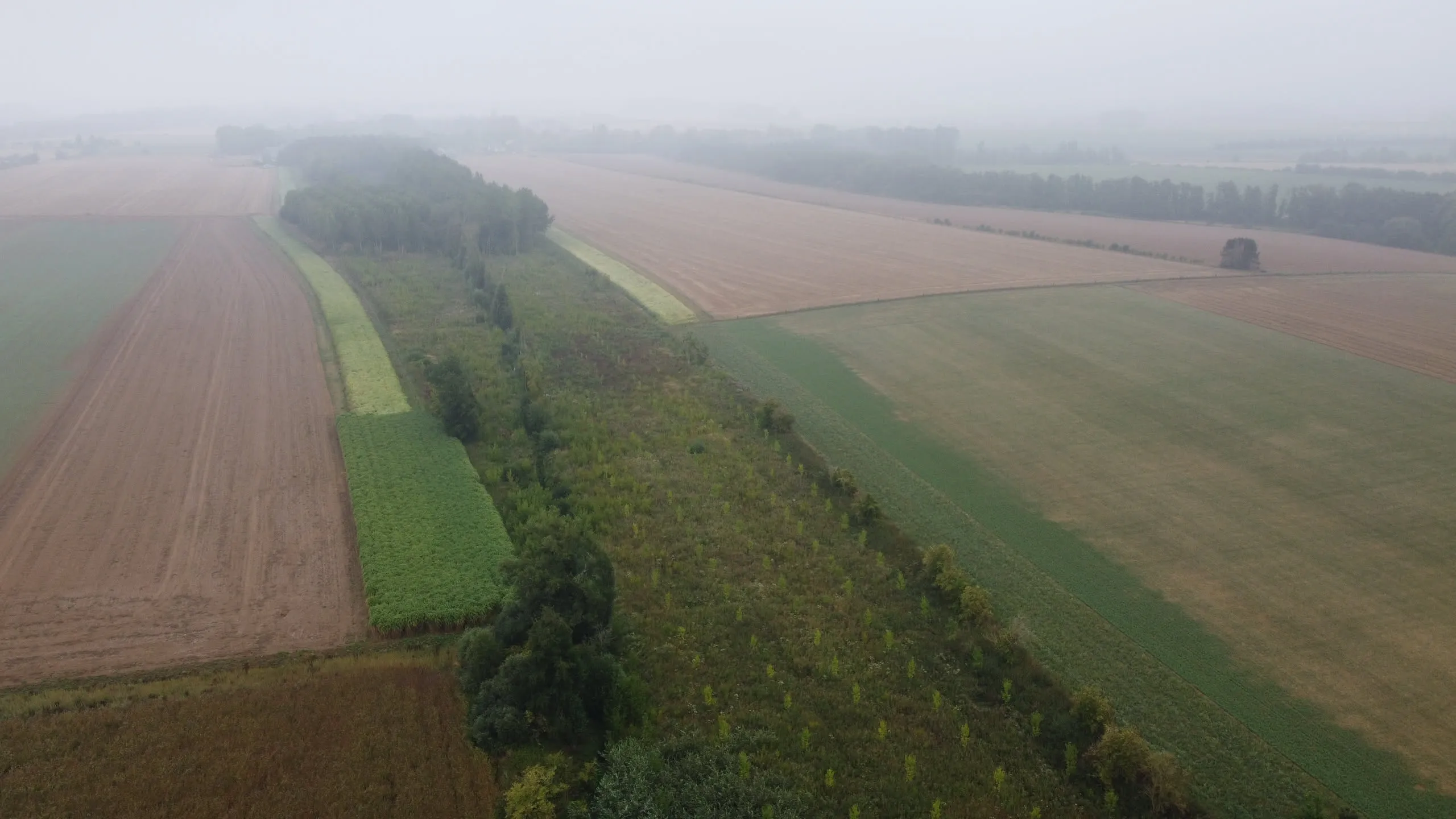 Vue aérienne d'un corridor boisé traversant un paysage agricole dans la brume