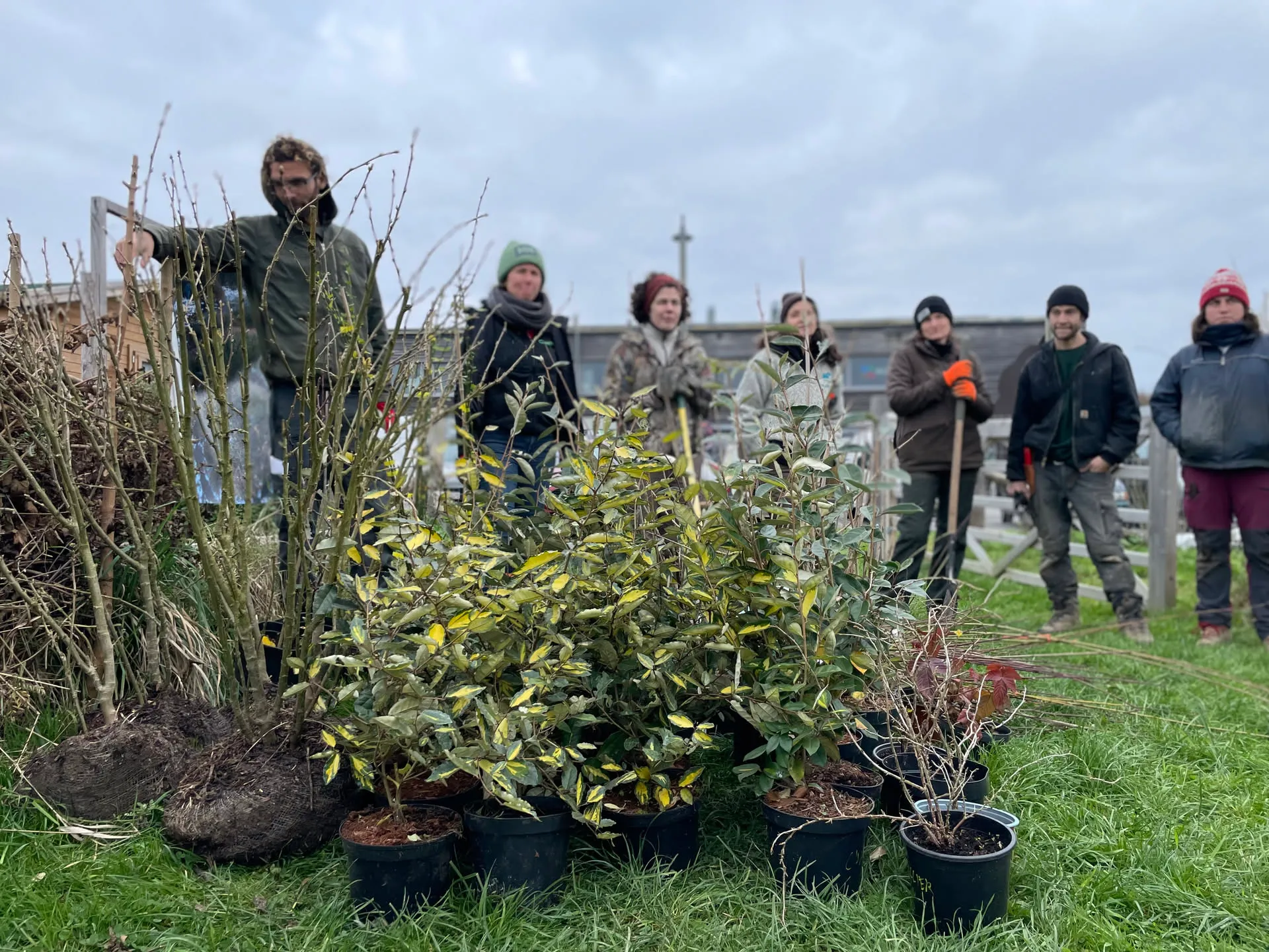 Des plants de haie en godets et un arbre en motte alignés au sol devant un groupe de planteur·euse·s munis de bêches, un matin de novembre