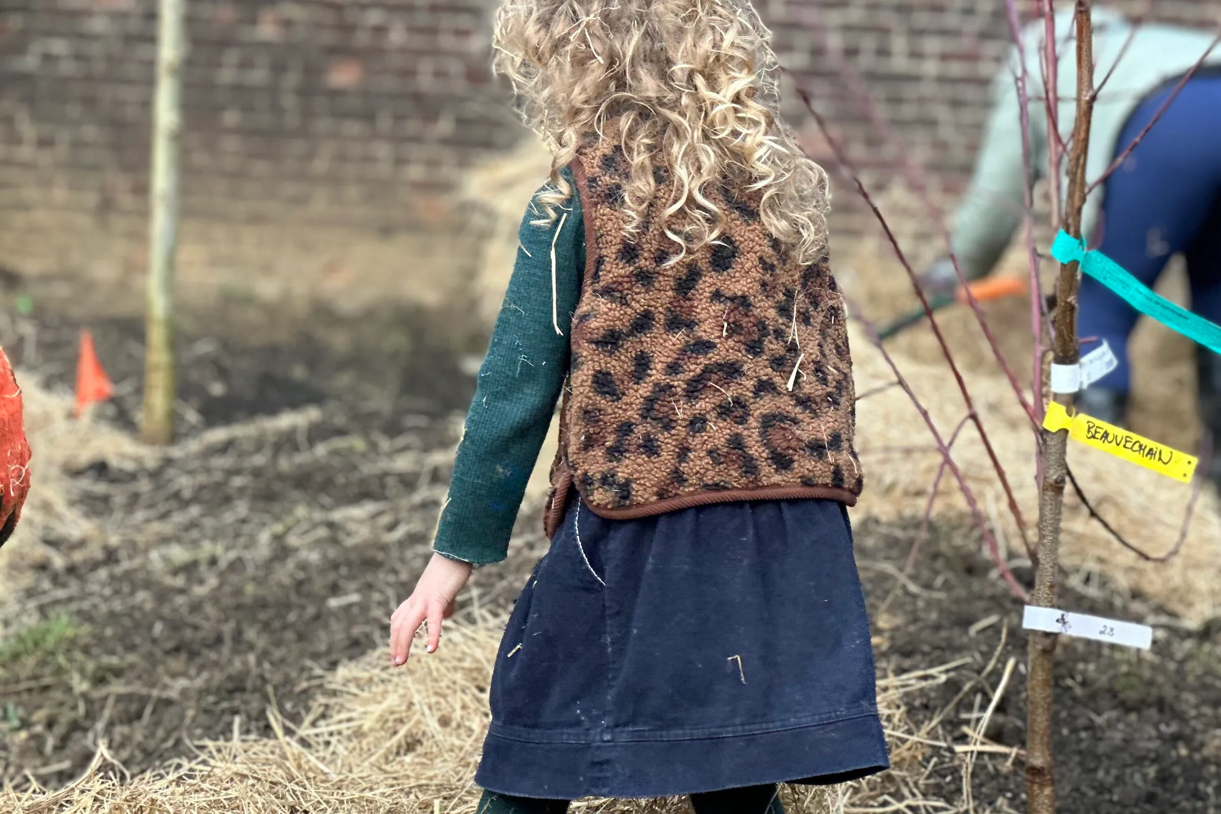 Un jardin-forêt dans la cour de l'école