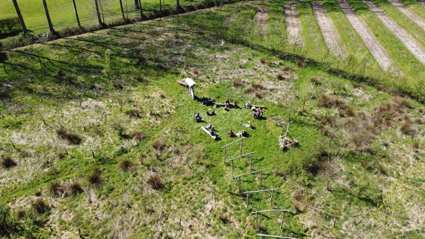 Vue aérienne d'un site de forêt comestible