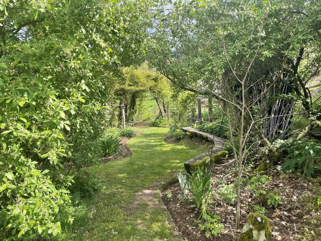 Les 7 strates de la forêt comestible ou jardin-forêt