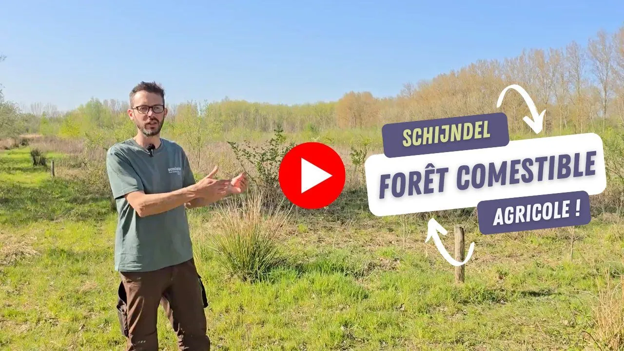 Miniature de la vidéo de présentation de la forêt comestible agricole de Schijndel