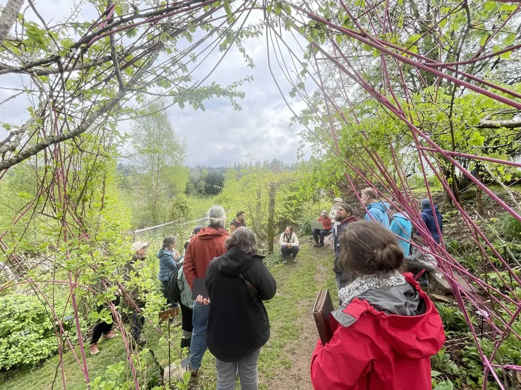 Cheminement à travers la « forêt pourpre » aux tiges rougeoyantes, surplombant la vallée