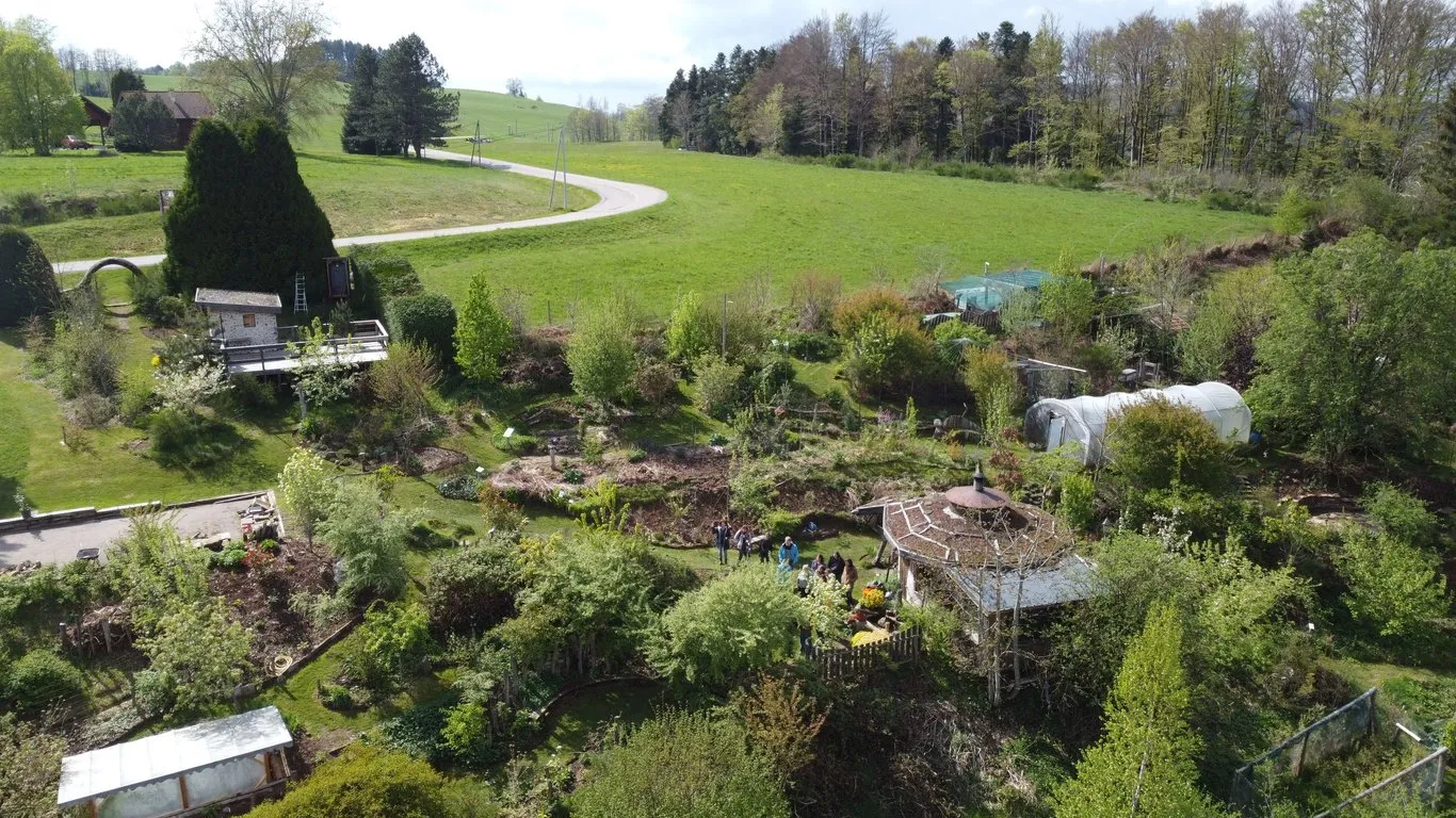 Vue aérienne du jardin-forêt Une Figue dans le Poirier, Vosges