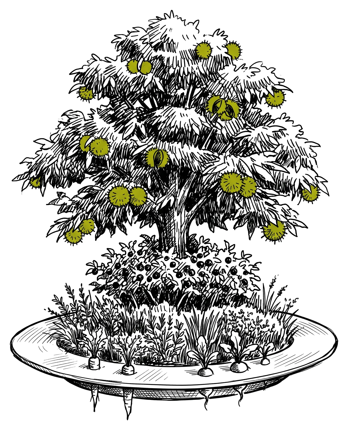 Illustration au trait : une assiette d’où la nourriture pousse en strates — racines, aromates, arbustes à baies — surmontée d’un grand châtaignier dont les bogues pendent dans la canopée.