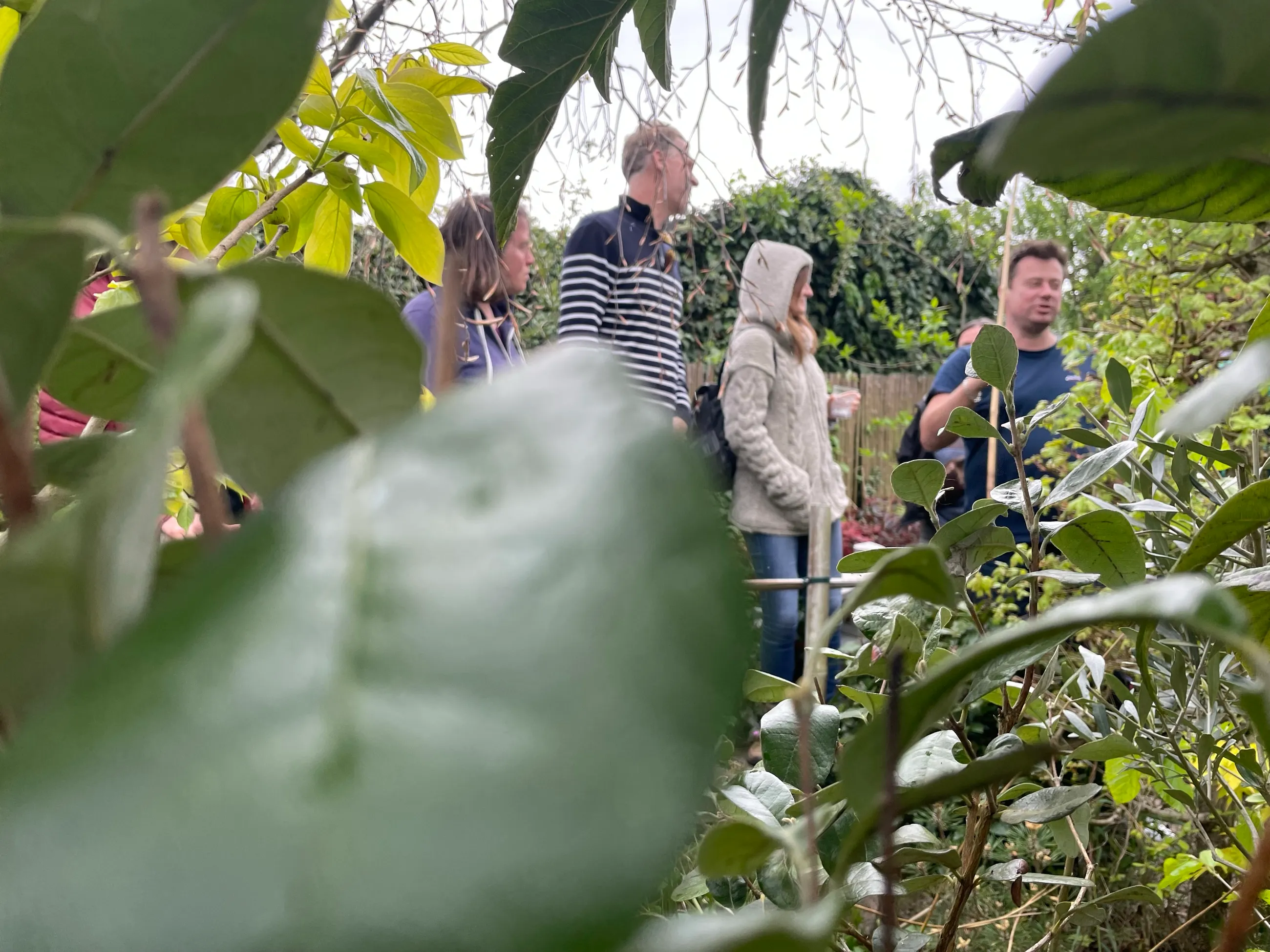 En visite sous le feuillage d'un jardin-forêt, le groupe écoute son hôte