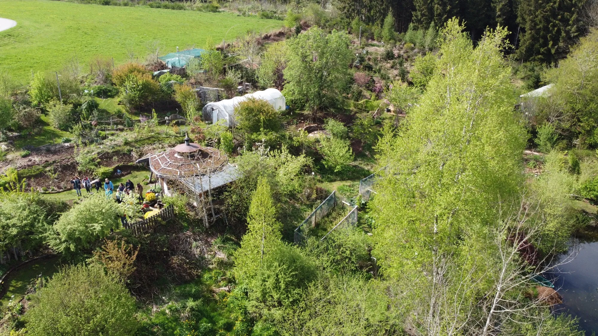 Vue aérienne d'une forêt comestible mature : kiosque au toit végétal, serre-tunnel et strates d'arbres nourriciers