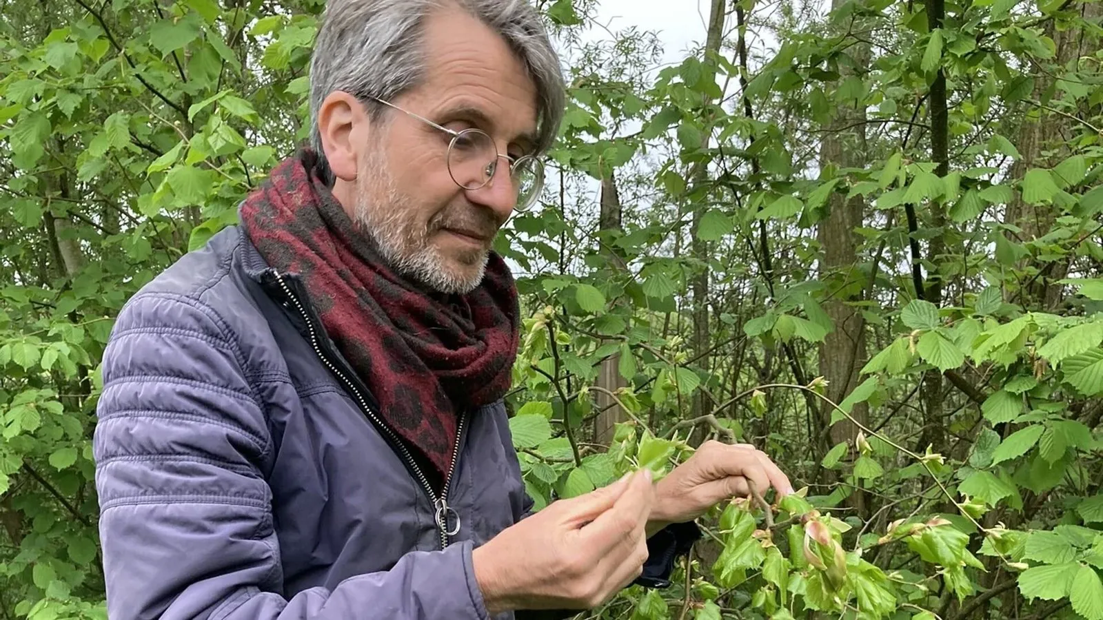 Visite à la forêt comestible Ketelbroek — vue 3