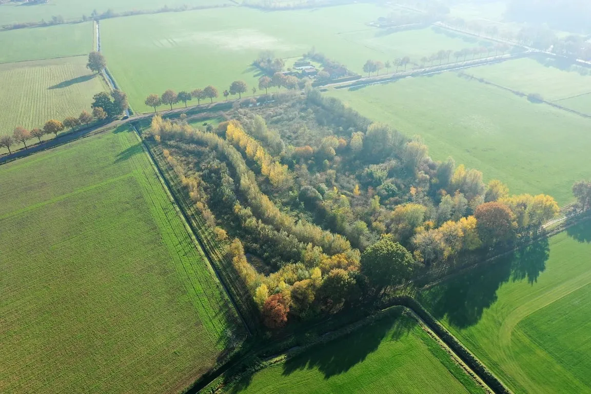 Forêt comestible Ketelbroek aux Pays-Bas
