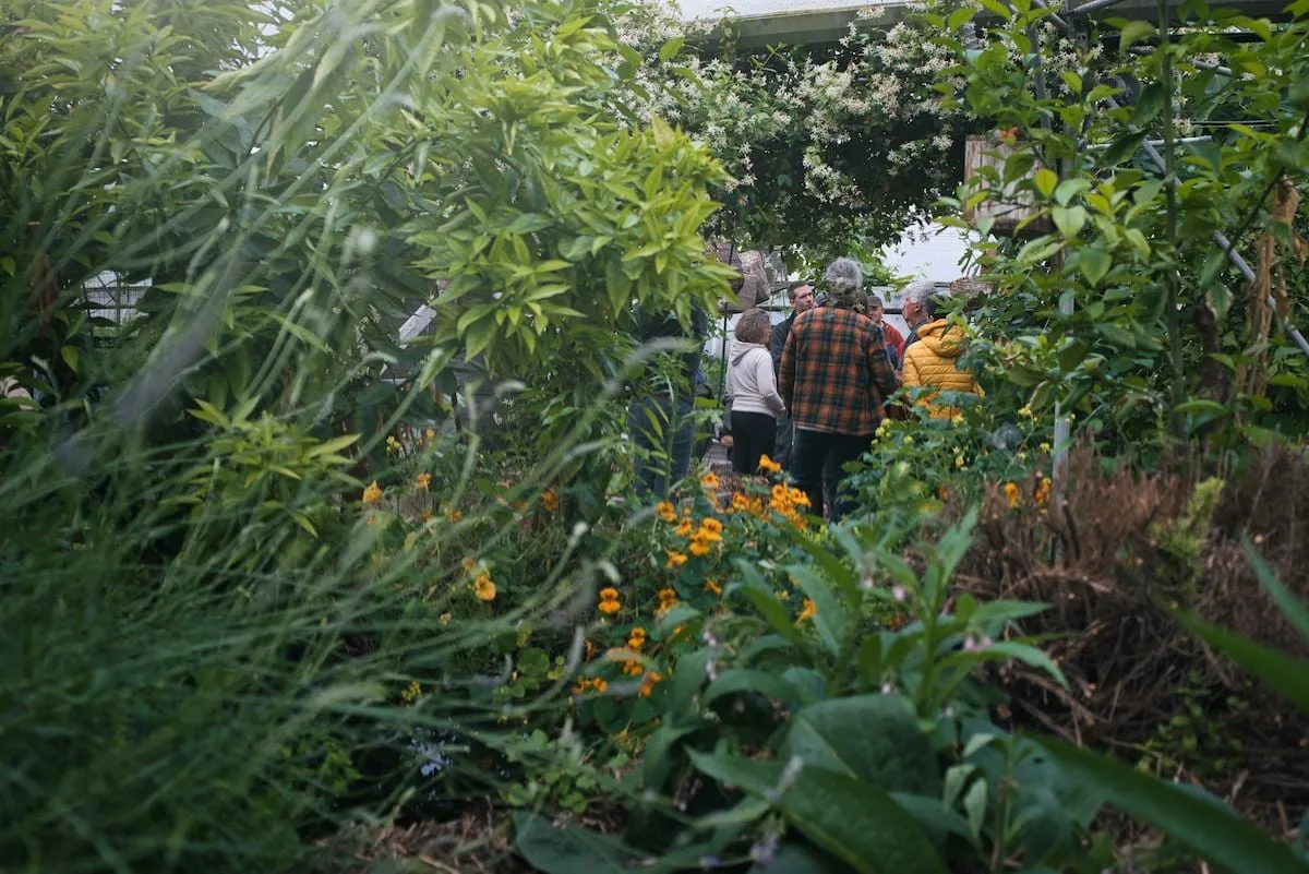 Un groupe en visite avance au milieu d'un jardin-forêt luxuriant