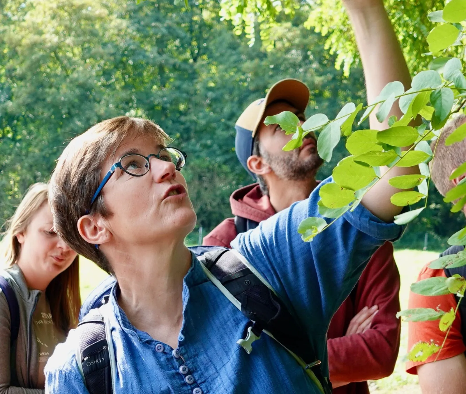 Focus sur mon jardin-forêt — vue 1