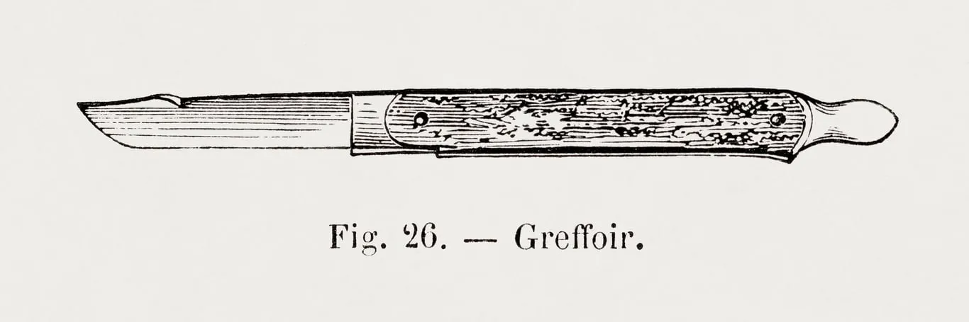 Greffe d'arbres fruitiers