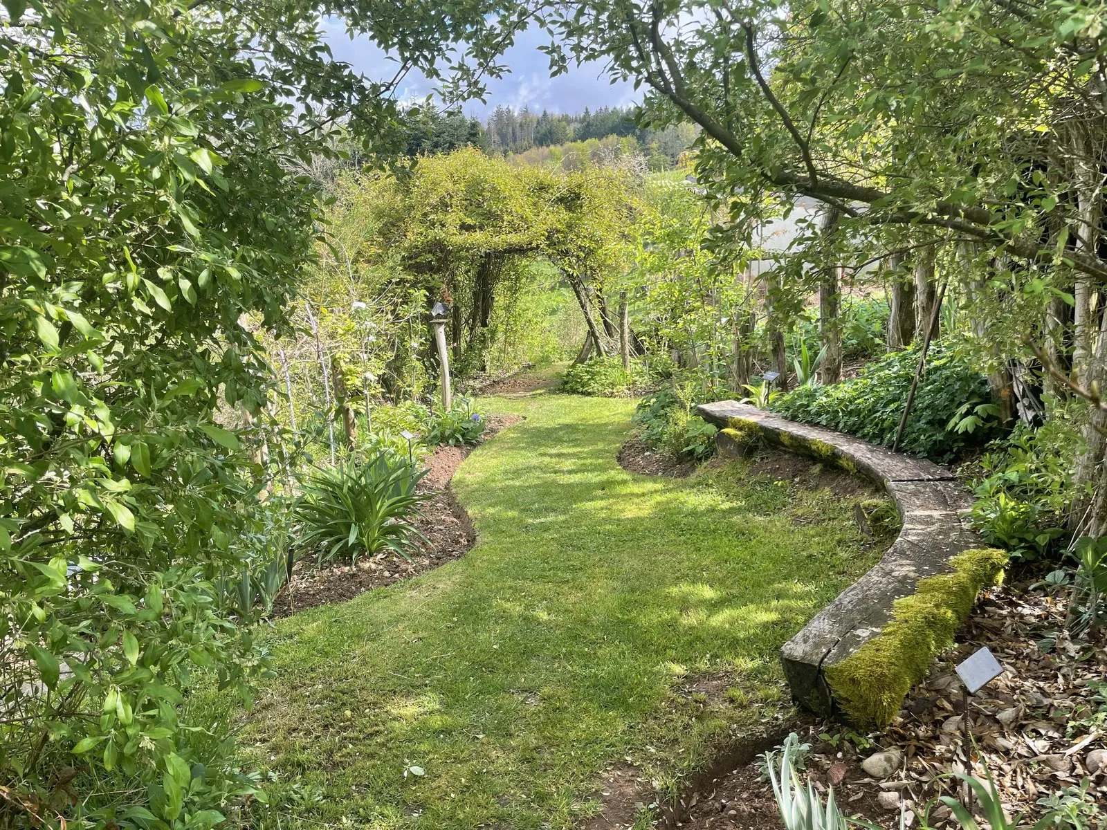 Journée découverte pour les pros : le jardin-forêt, jardin du futur ? — vue 1
