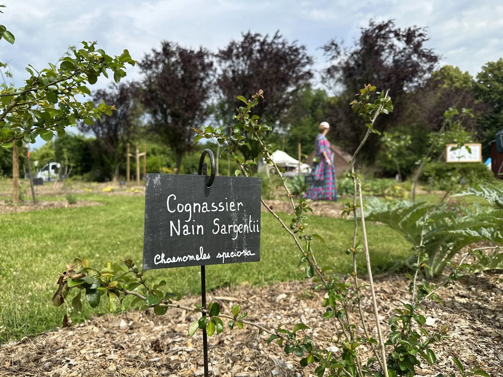 Journée découverte pour les pros : le jardin-forêt, jardin du futur ? — vue 3