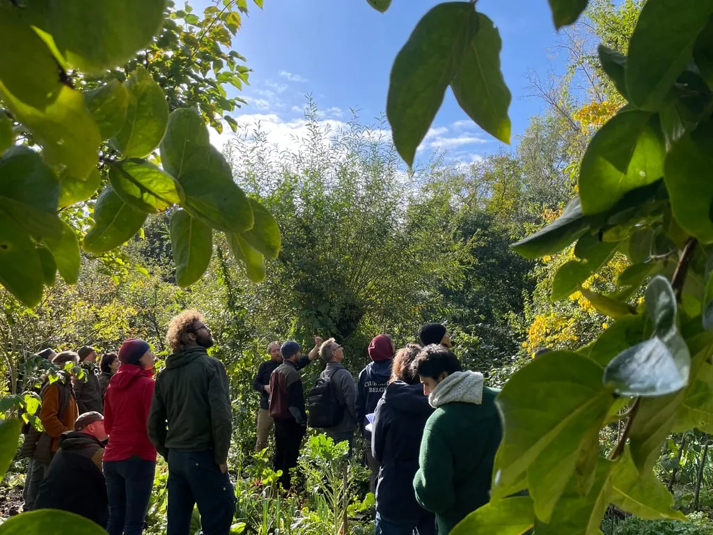 Des professionnels du paysage en formation dans un jardin-forêt