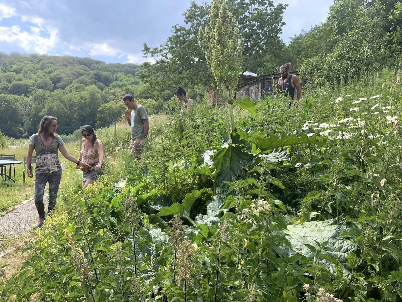 À la découverte des jardins-forêts — vue 1