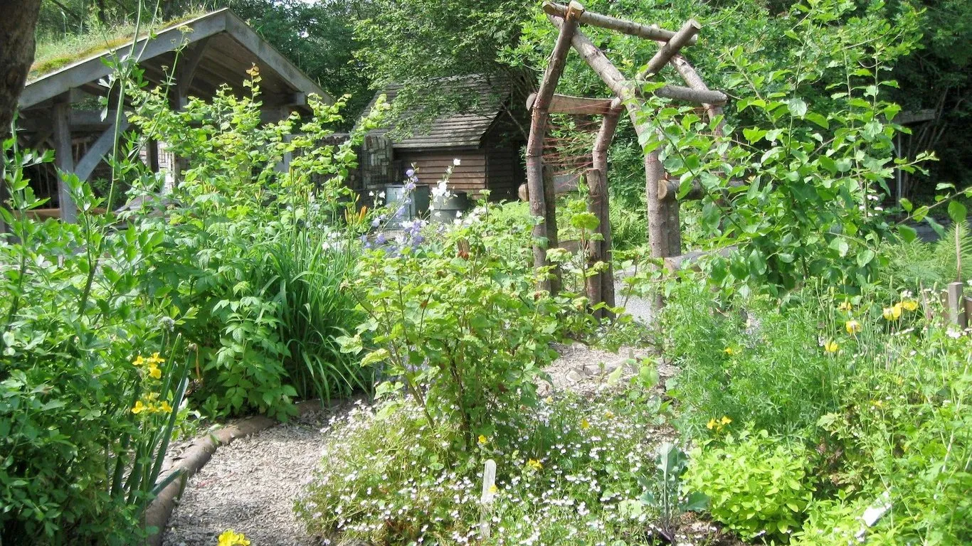 À la découverte des jardins-forêts