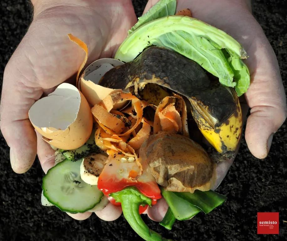 Maîtriser l'art du compostage