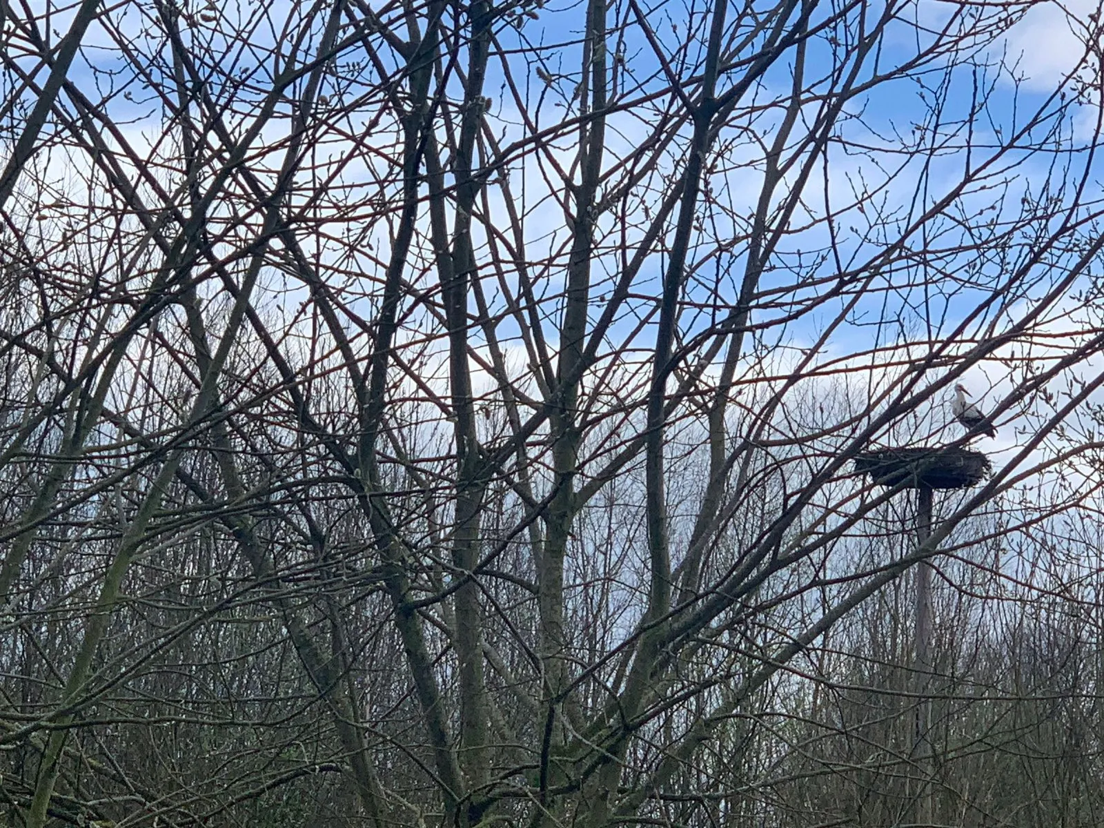 Semisto en images — vue 29