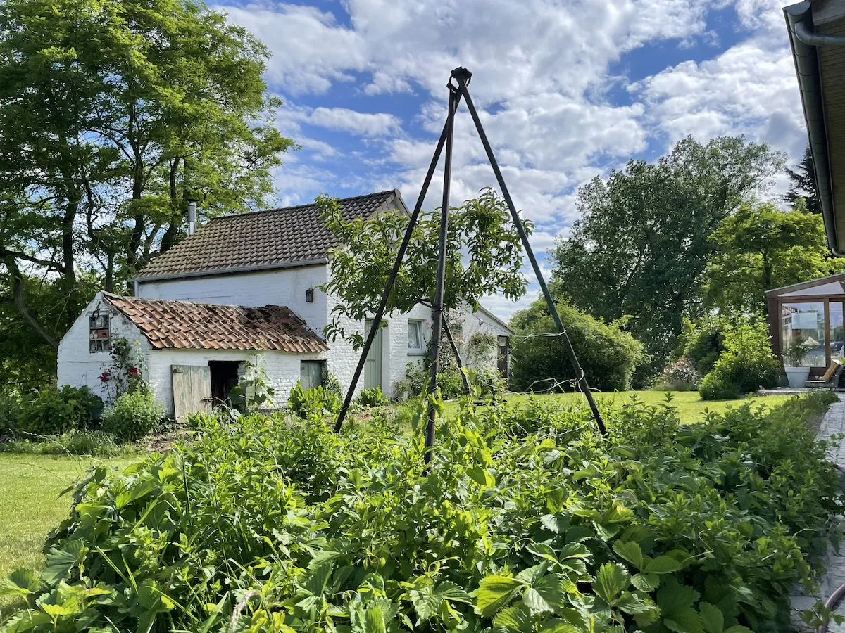 Semisto en images — vue 36