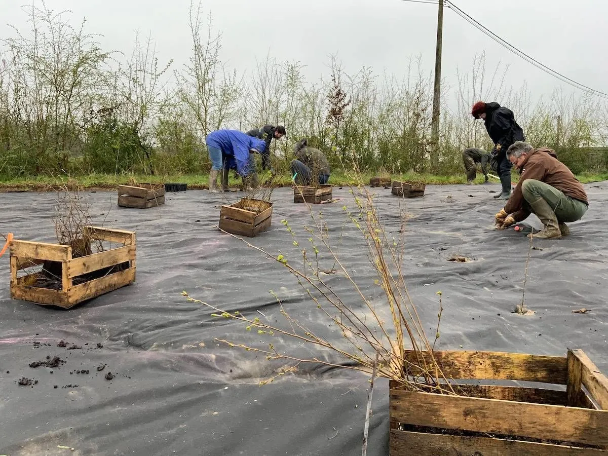 Chantier participatif des Food Forest Heroes