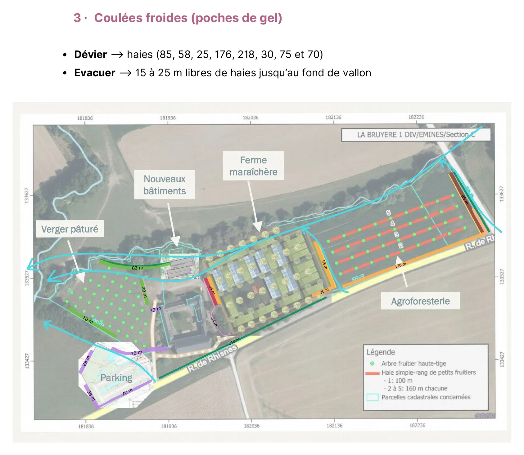 Les haies nourricières de la ferme d'Hulplanche — vue 3