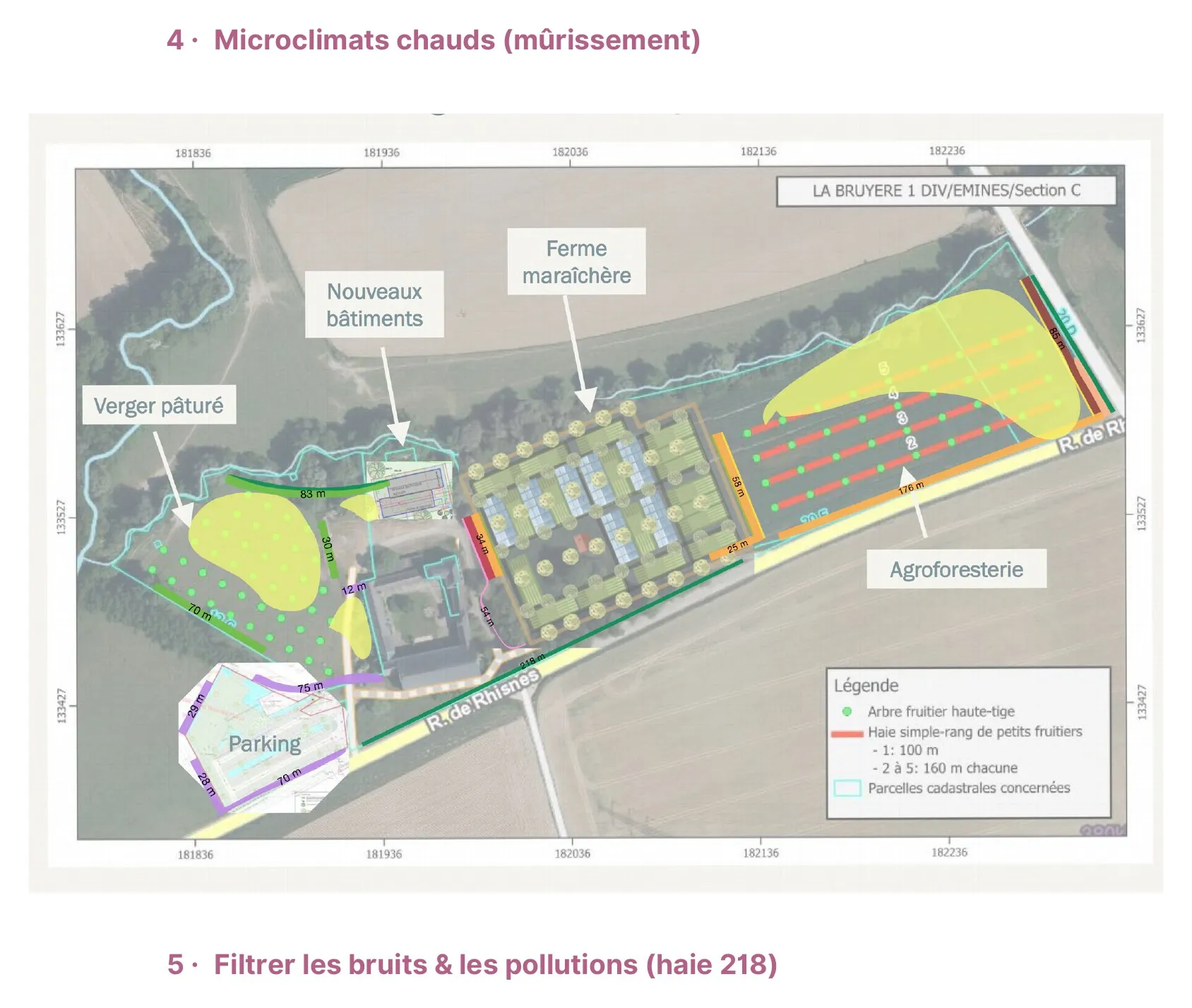 Les haies nourricières de la ferme d'Hulplanche — vue 4