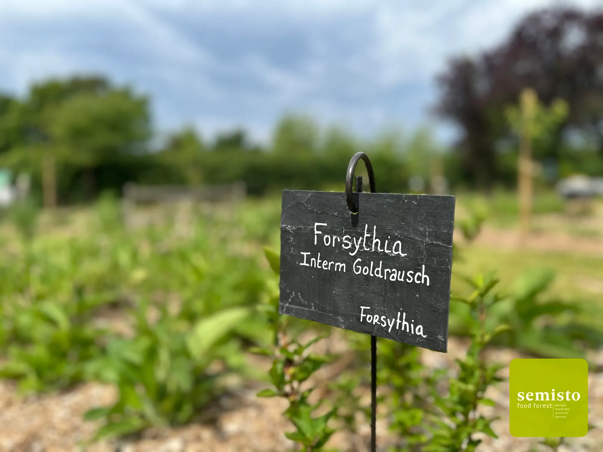Jardin-forêt de la Chapelle Musicale Reine Elisabeth — vue 8