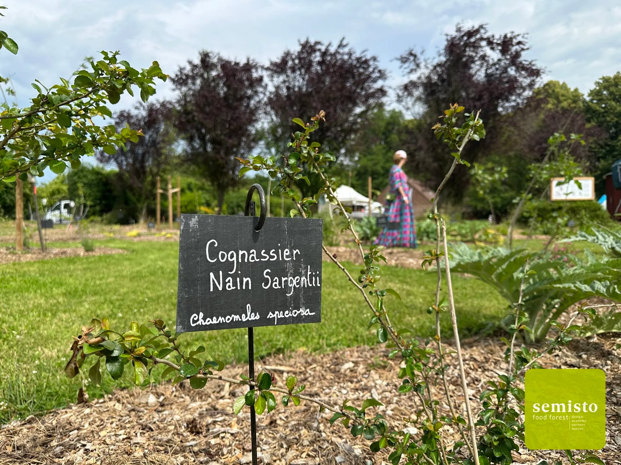 Jardin-forêt de la Chapelle Musicale Reine Elisabeth — vue 9