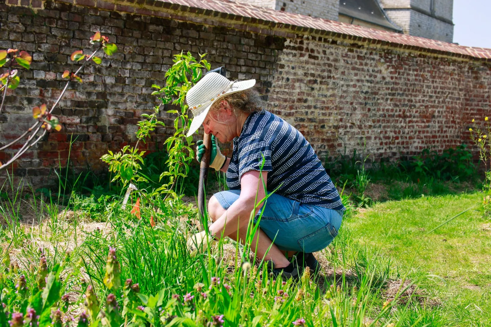 Le jardin-forêt nourricier de Tourinnes-la-Grosse — vue 3