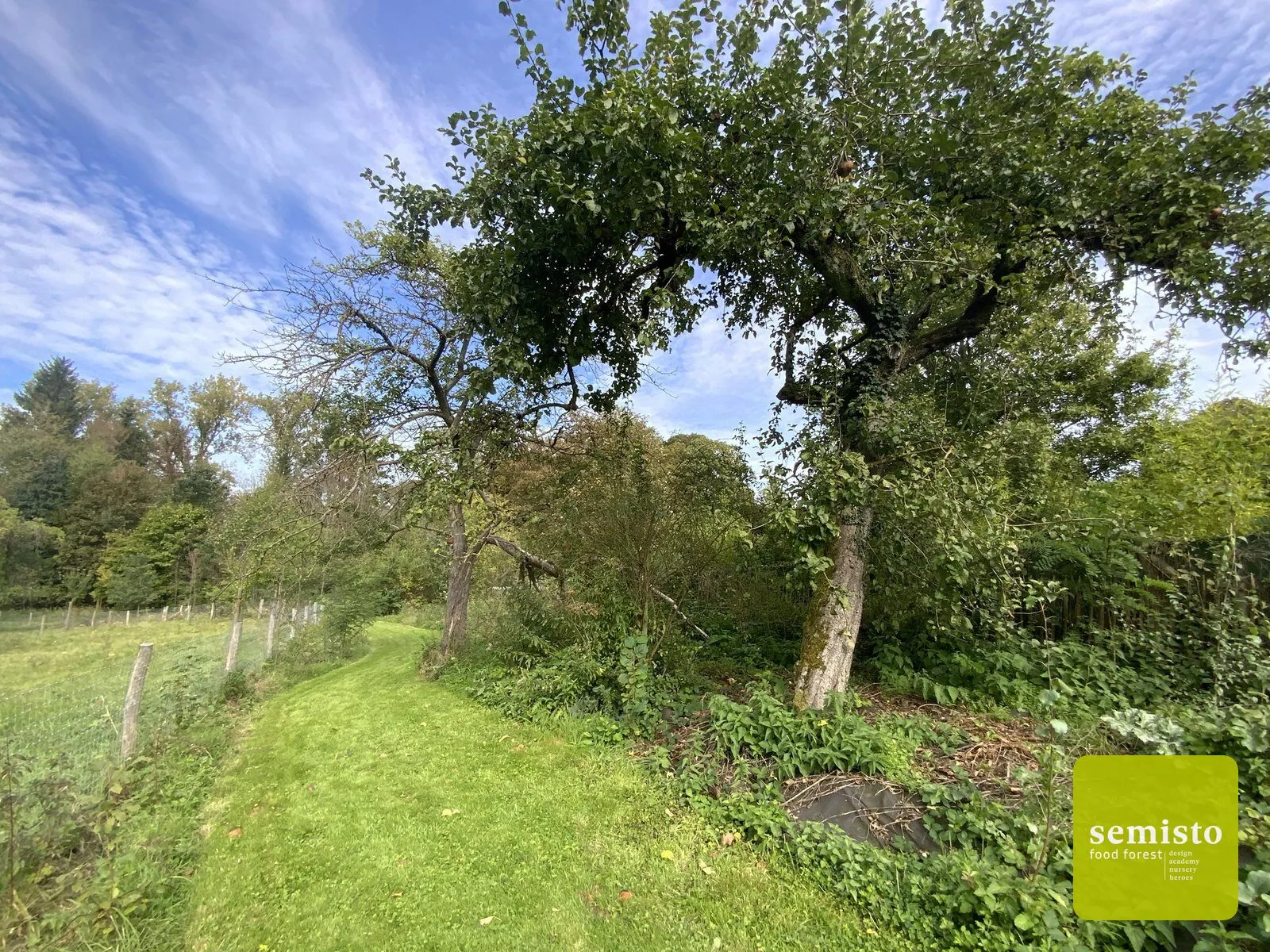Le sentier comestible de Manu — vue 3
