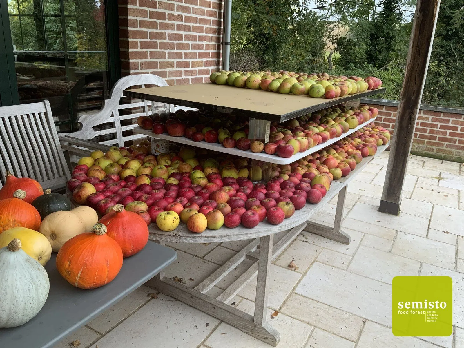 Le sentier comestible de Manu — vue 5