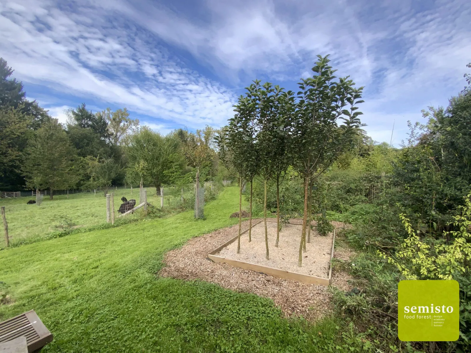 Le sentier comestible de Manu — vue 8