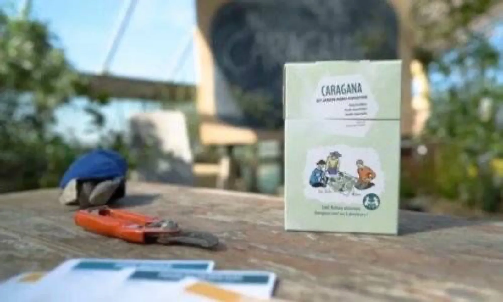 Le kit Caragana : 160 cartes pour créer des guildes et concevoir des jardins-forêts