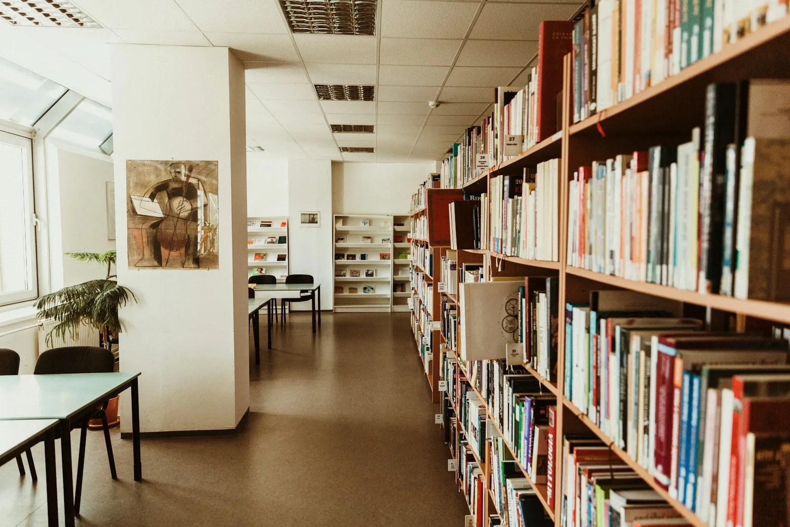 Rayonnages d'une bibliothèque remplis de livres.